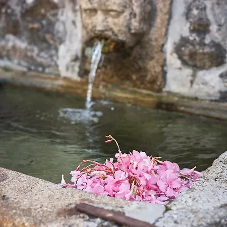 Casa De Canedo Εξοχικό σπίτι Celorico De Basto