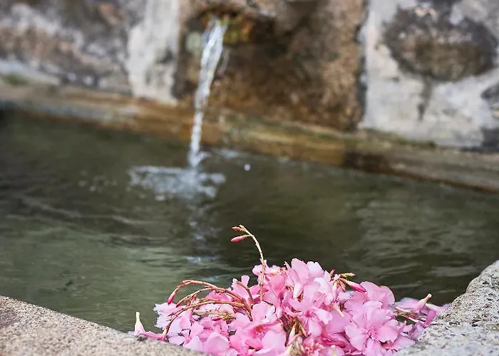 Casa De Canedo Country house Celorico De Basto